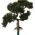 Artificial cedar bonsai with layered green foliage on a twisting trunk, roots spreading into a green display stand