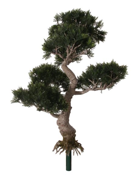 Artificial cedar bonsai tree with a windswept, twin-trunk shape and a green mounting stem, shot on white