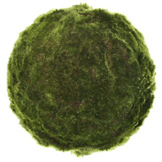 Moss ball green 40cm | TOPIARYTREE.NET