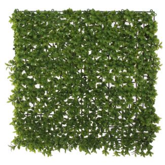 Boxwood plate 50x50cm | TOPIARYTREE.NET