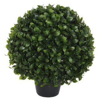 Boxwood ball topiary with big leaves potted d50cm | TOPIARYTREE.NET