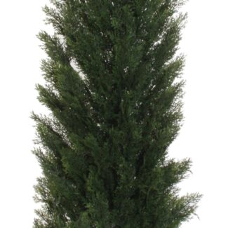 Cedar Cone Topiary | TOPIARYTREE.NET