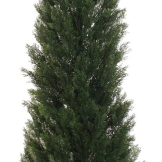 Cedar Cone Topiary | TOPIARYTREE.NET