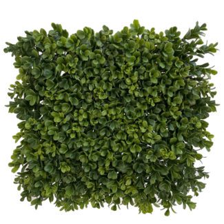 Boxwood mat green 30x30cm | TOPIARYTREE.NET