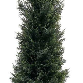 Cedar Cone Topiary tree in plastic pot | TOPIARYTREE.NET