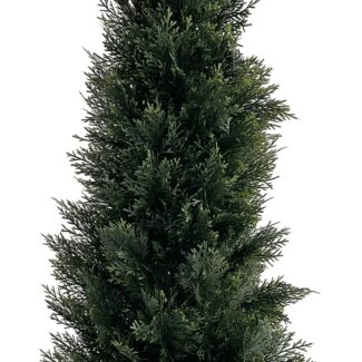 Cedar Cone tree in plastic pot | TOPIARYTREE.NET