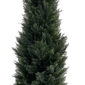 Cedar Cone Topiary tree in plastic pot | TOPIARYTREE.NET