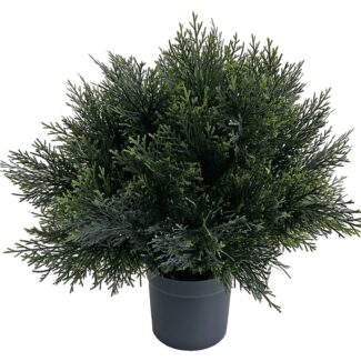 Cedar ball in plastic pot d45cm | TOPIARYTREE.NET