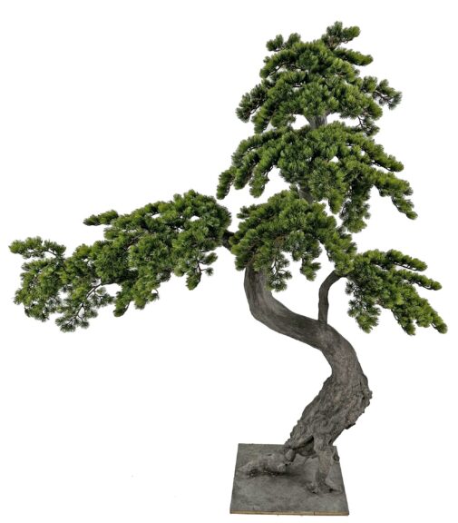 Green bonsai-style topiary with a curved trunk and tiered, cascading foliage pads, on a plain background