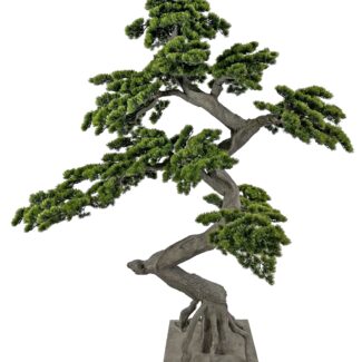 Bonsai Green 220cm | TOPIARYTREE.NET