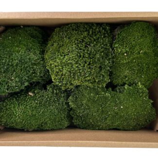 Preserved moss in box green 30x20x9cm | TOPIARYTREE.NET