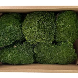Preserved moss in box green 30x20x9cm