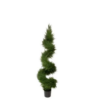 PTD MINI CYPRESS SPIRAL TREE | TOPIARYTREE.NET