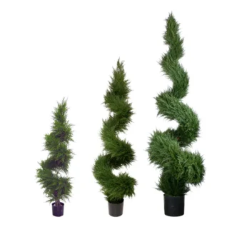 PTD MINI CYPRESS SPIRAL TREE | TOPIARYTREE.NET