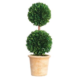 16.5" Preserved Boxwood Double Ball Topiary in Clay Pot Green | TOPIARYTREE.NET