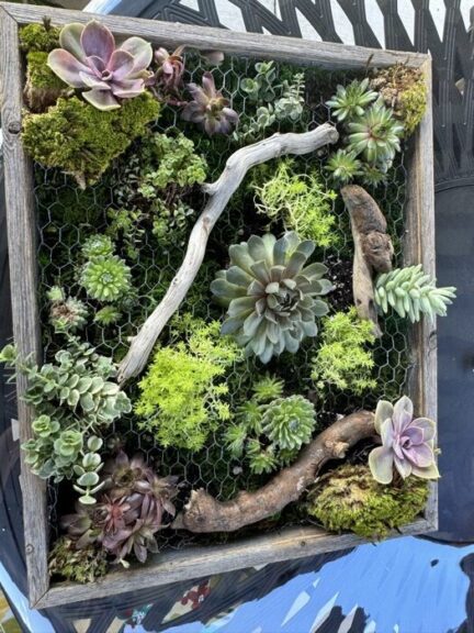 Upright succulent and moss panel on a patio chair, driftwood laid diagonally across the mesh
