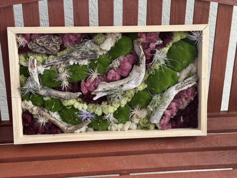Close view of framed preserved moss and driftwood wall art with mounted air plants