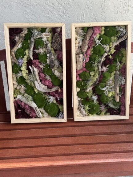 Two framed preserved moss and driftwood wall art pieces displayed side by side