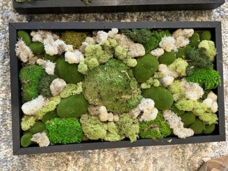 A close-up of a moss and lichen wall panel in mixed greens and cream, packed edge to edge in irregular clusters.