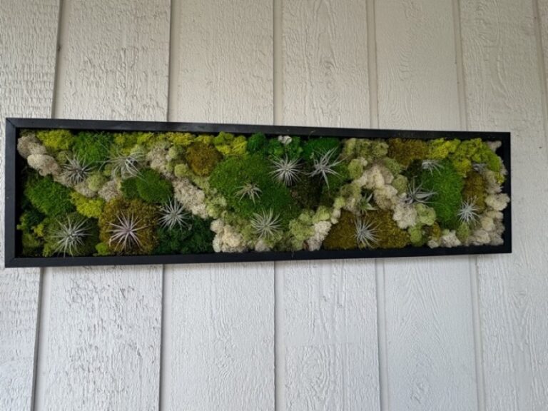 Framed preserved moss wall panel viewed at an angle, showing green moss tones and mounted air plants.