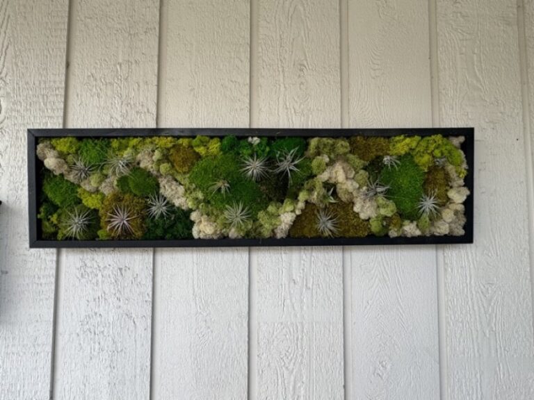 Black-framed moss wall art with green and white moss patches and mounted air plants, on white siding.