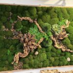 An 18x30 framed wall panel of dense green moss with gnarled driftwood branches, river pebbles, small green rosettes and spiky foliage.