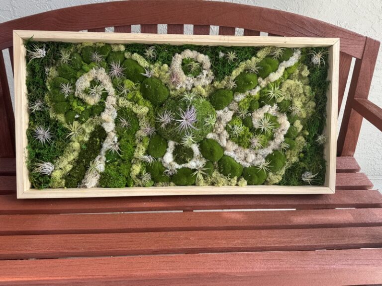 Wood-framed moss and air plant wall panel propped on a slatted bench against a white wall