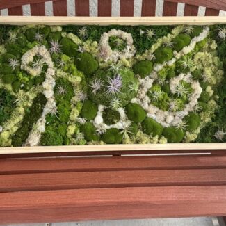24x48 wood frame living wall art with preserved moss and airplants | TOPIARYTREE.NET