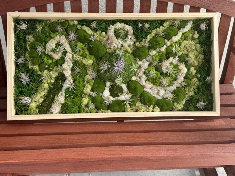 Closer view of the moss panel showing mounded green cushions, pale lichen ribbons and silvery air plants