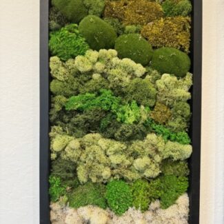 3 piece set 12x24 wood frame preserved moss wall art | TOPIARYTREE.NET