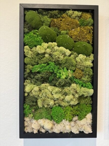 Framed preserved moss panel hanging on a white wall, photographed at a slight angle