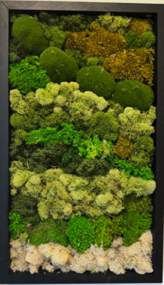 Framed preserved moss panel in a black wood frame, with green, olive and tan moss in horizontal bands