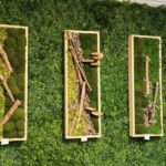 Three framed panels of preserved moss and driftwood mounted on a green wall display, price tags visible
