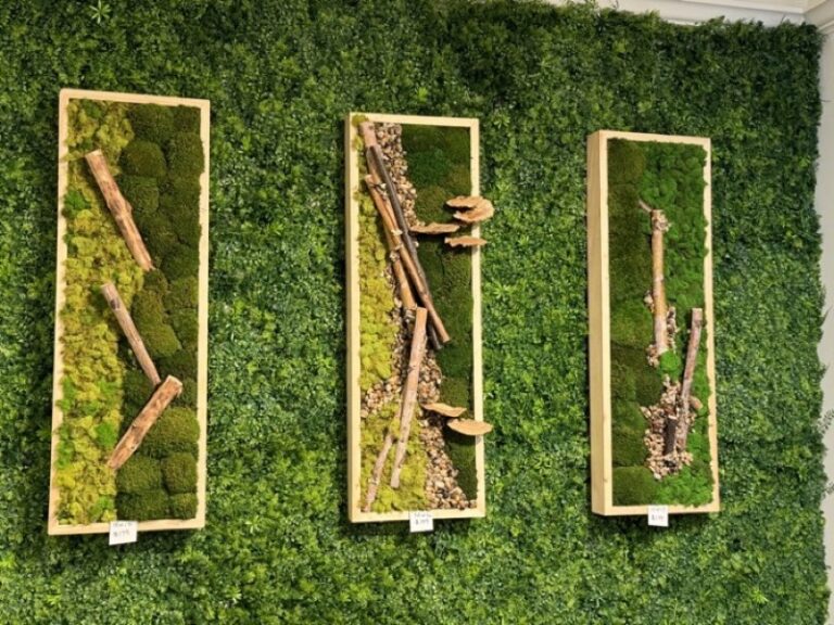 Three framed panels of preserved moss and driftwood mounted on a green wall display, price tags visible