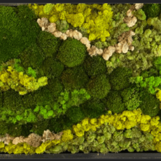 3 piece set 24x48 wood frame preserved moss wall art and matching ends | TOPIARYTREE.NET