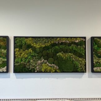 3 piece set 24x48 wood frame preserved moss wall art and matching ends | TOPIARYTREE.NET