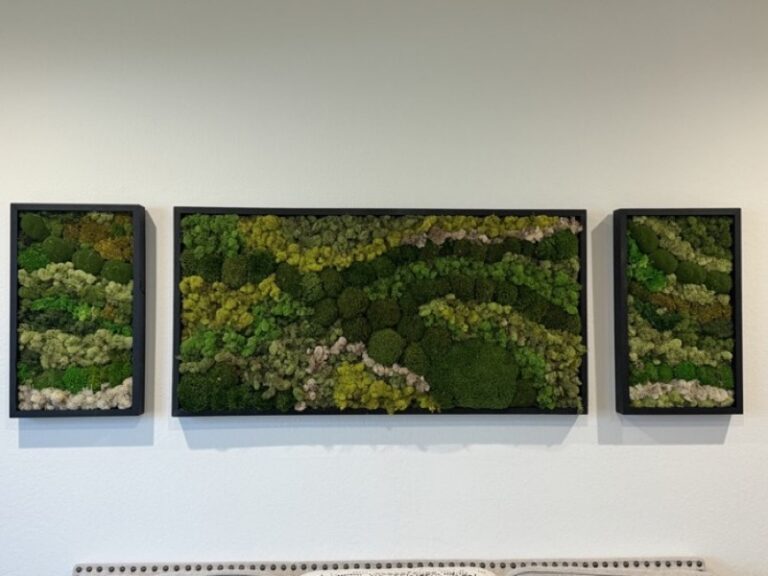 Three framed preserved moss wall art panels on a white wall, a wide center panel flanked by two narrow matching side panels