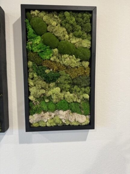 Single framed preserved moss panel with dark green moss balls, olive moss, and cream lichen bands