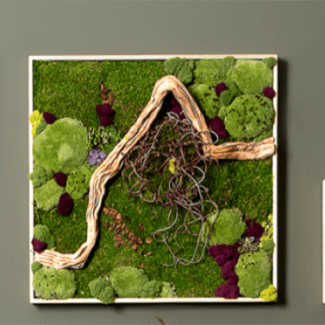 3 piece wall art with drift wood, preserved reingdeer moss | TOPIARYTREE.NET