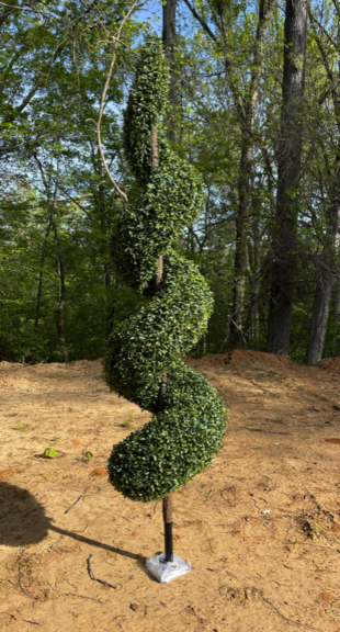 A green spiral topiary on a stone base, outdoors on bare dirt among trees