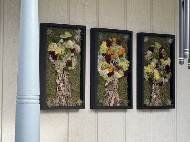 Three framed moss tree panels mounted on an interior wall, with additional wall-art pieces partly visible at the edges of the photo.