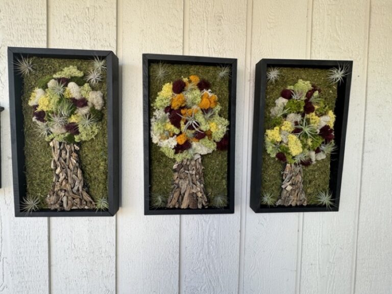 Three framed moss tree panels mounted on white siding, each with a driftwood trunk and a canopy of cream, burgundy and yellow lichen.