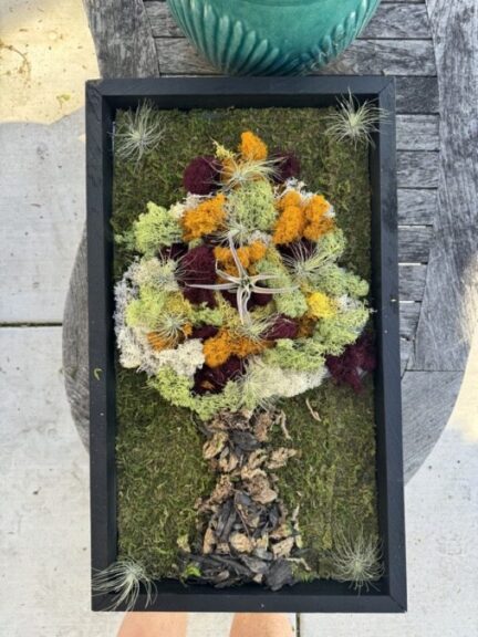 A single framed moss tree panel with a driftwood trunk and a canopy of cream, green, burgundy and orange lichen, held over an outdoor table.