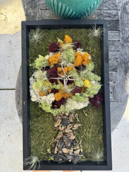 The same framed moss tree panel shown from a different angle, with a teal pot visible in the background.