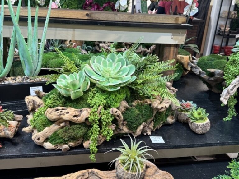 Succulent and fern arrangement on driftwood with moss and a small potted air plant, on a retail display table