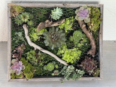 Living Wall Art