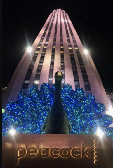 Peacock topiary lit blue at night beneath Rockefeller Center's tower, PEACOCK sign below
