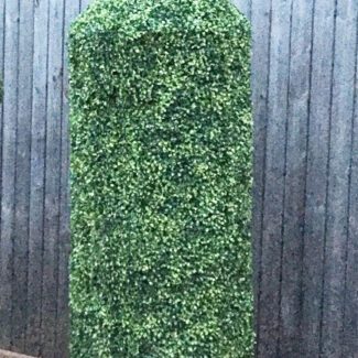 12 Feet Bacardi Bottle - Outdoor Boxwoods | TOPIARYTREE.NET