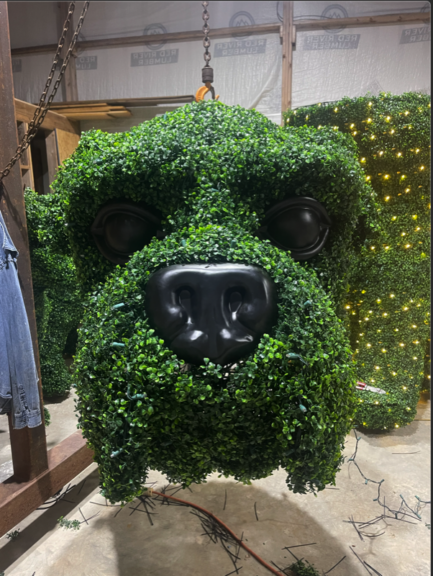 Close-up of the bulldog topiary's molded black nose and eyes set into boxwood foliage, hanging from a chain indoors
