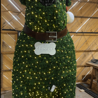 20 Foot Bulldog "Scotty" - Outdoor Boxwood Foliages | TOPIARYTREE.NET